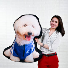 Load image into Gallery viewer, Human Face Pillow