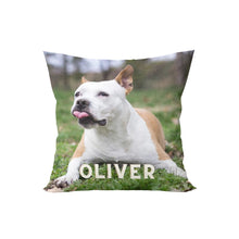 Load image into Gallery viewer, Pet With Name Throw Pillow