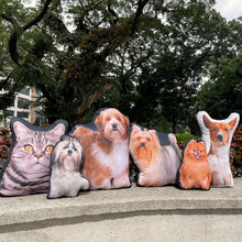 Load image into Gallery viewer, Pet Pillow