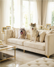 Load image into Gallery viewer, Pet Pillow