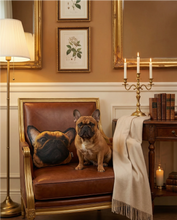 Load image into Gallery viewer, Pet Pillow
