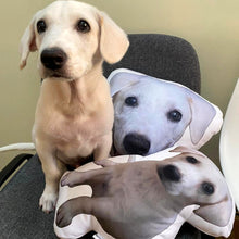 Load image into Gallery viewer, Pet Pillow