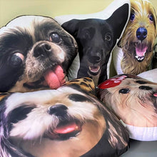 Load image into Gallery viewer, Pet Pillow