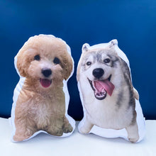 Load image into Gallery viewer, Pet Pillow