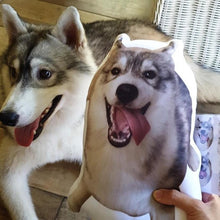 Load image into Gallery viewer, Pet Pillow