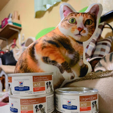 Load image into Gallery viewer, Pet Pillow