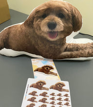 Load image into Gallery viewer, Pet Pillow