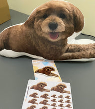 Load image into Gallery viewer, Pet Pillow