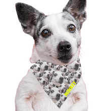 Load image into Gallery viewer, Crazy Heads Pet Bandana

