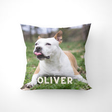 Load image into Gallery viewer, Pet With Name Throw Pillow
