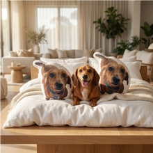 Load image into Gallery viewer, Pet Pillow
