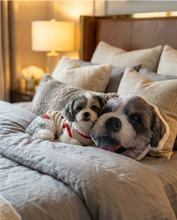 Load image into Gallery viewer, Pet Pillow

