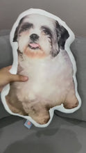 Load and play video in Gallery viewer, Pet Pillow
