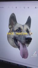 Load and play video in Gallery viewer, Face with Texts Low Cut Socks
