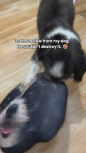 Load and play video in Gallery viewer, Pet Pillow
