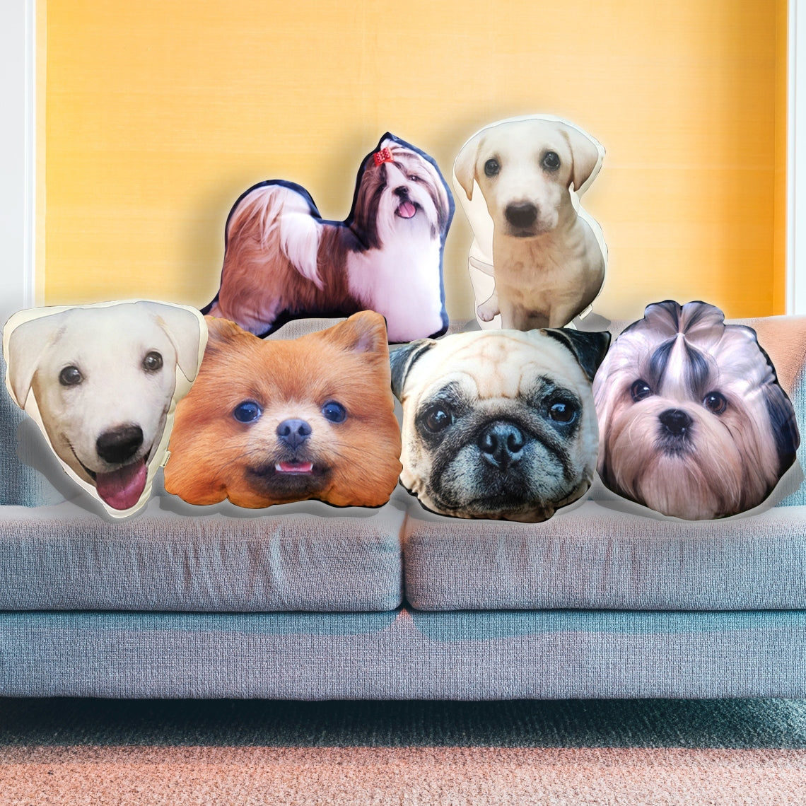 Pet shop into pillow